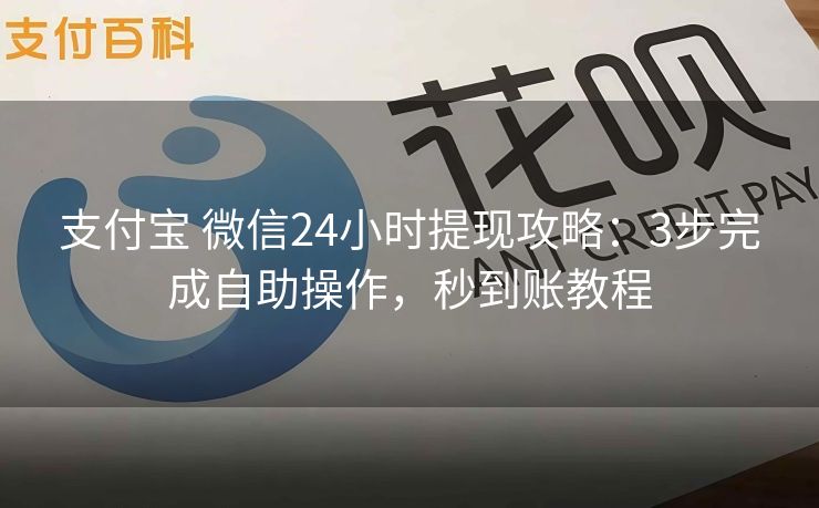 支付宝 微信24小时提现攻略：3步完成自助操作，秒到账教程
