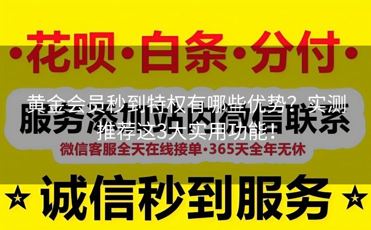 黄金会员秒到特权有哪些优势？实测推荐这3大实用功能！