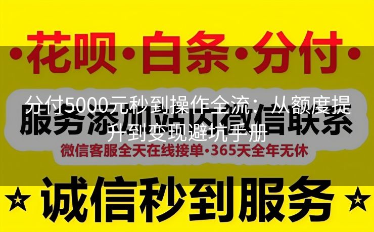 分付5000元秒到操作全流：从额度提升到变现避坑手册