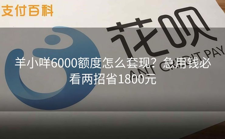 羊小咩6000额度怎么套现？急用钱必看两招省1800元