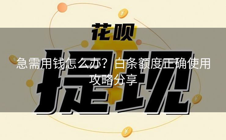 急需用钱怎么办？白条额度正确使用攻略分享